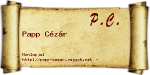 Papp Cézár névjegykártya
